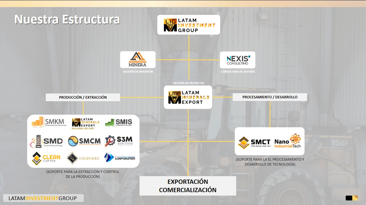 Estructura Holding
